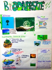 Biodiversité