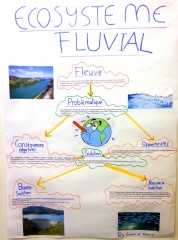 Écosystème fluvial
