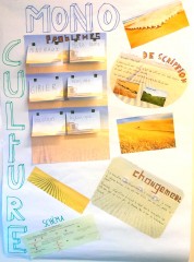 Monoculture