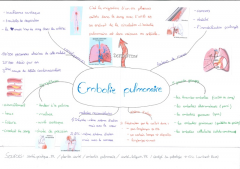 Embolie pulmonaire