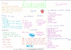 Endocardite