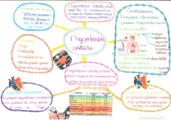 Hypertension artérielle